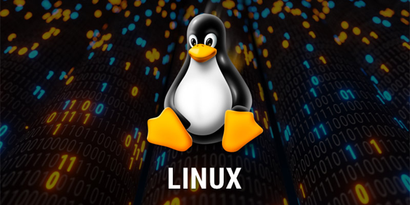 هاست لینوکس (Linux Hosting) چیست؟