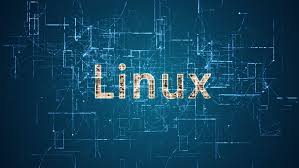 هاست لینوکس (Linux Hostig) چیست؟ 1 بررسی مزایا و معایب هاست لینوکس
