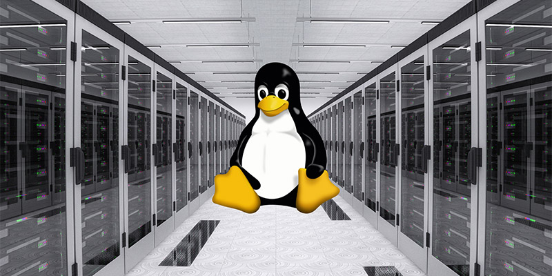 هاست لینوکس (Linux Hosting) چیست؟