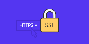Enable SSL Certificate in WordPress 5 راهکار افزایش امنیت سایت وردپرسی