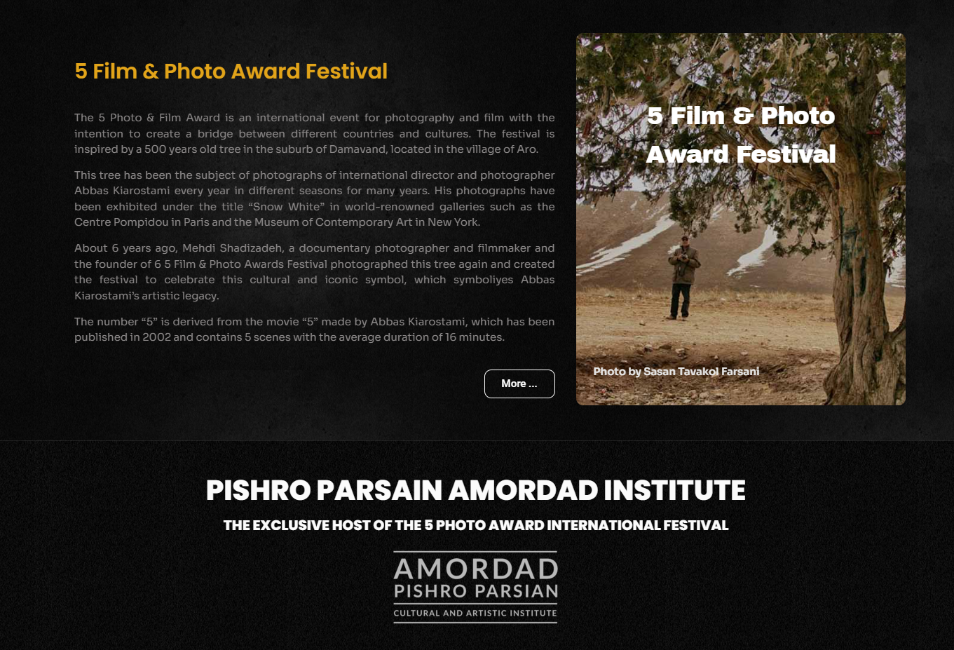 5photo3 نمونه کار طراحی سایت بین المللی 5photoaward