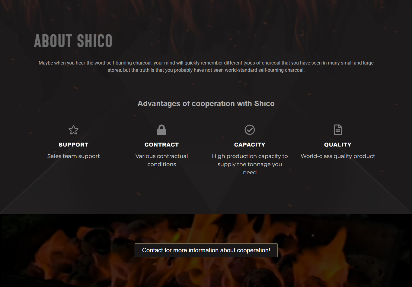 shico3 طراحی وب سایت شیکو