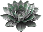 lotous آریان وب